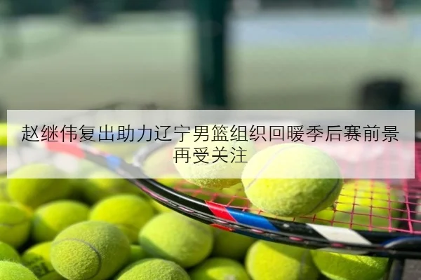 赵继伟复出助力辽宁男篮组织回暖季后赛前景再受关注